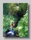 Akaka Falls Stream_2013